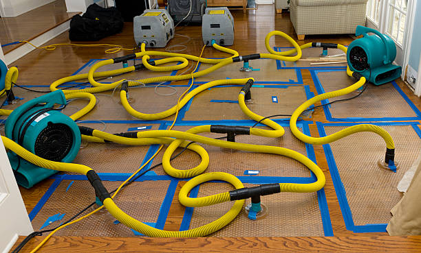 Professional Water Extraction technician working in Kingsville, MO